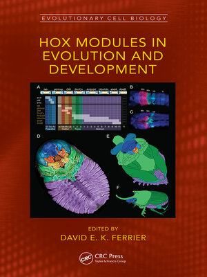 cover image of Hox Modules in Evolution and Development